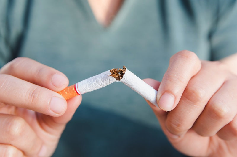 The Rise of Tobacco-Free Nicotine Pouches